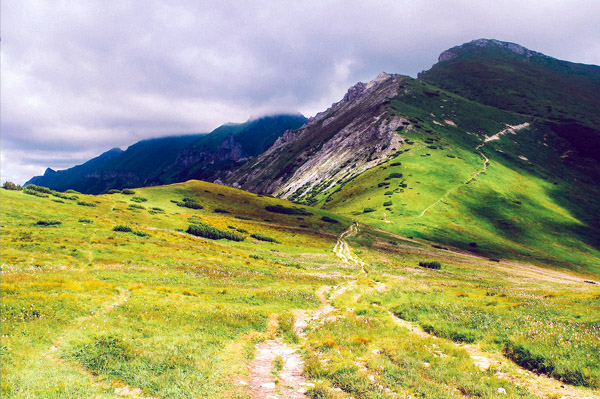 在线短信轰炸网页版